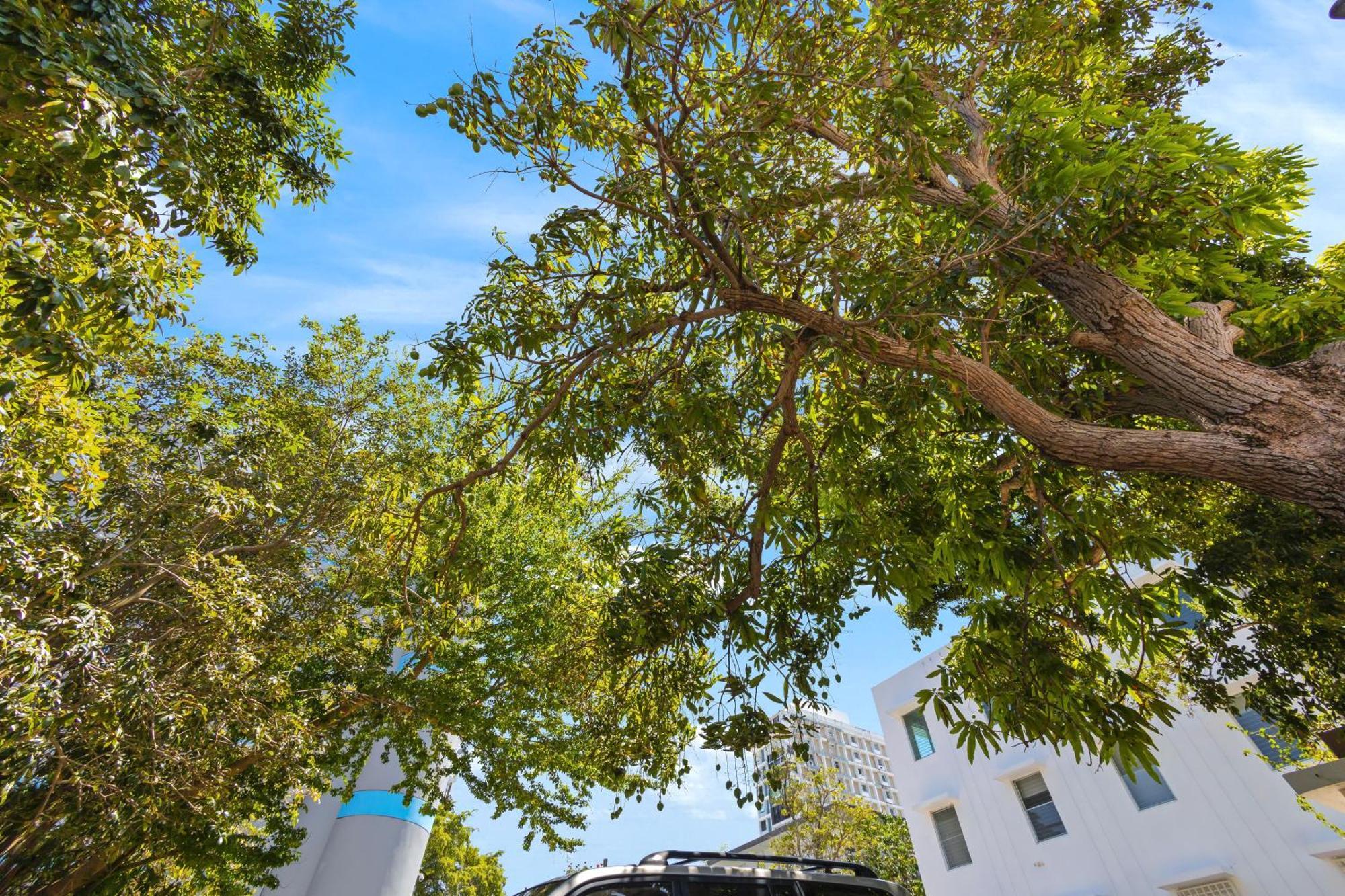 Hidden Gem In Miramar- Power Generator- Parking Apartamento San Juan Exterior foto
