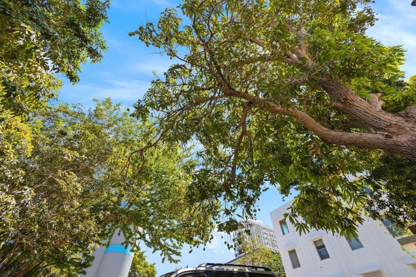 Hidden Gem In Miramar- Power Generator- Parking Apartamento San Juan Exterior foto